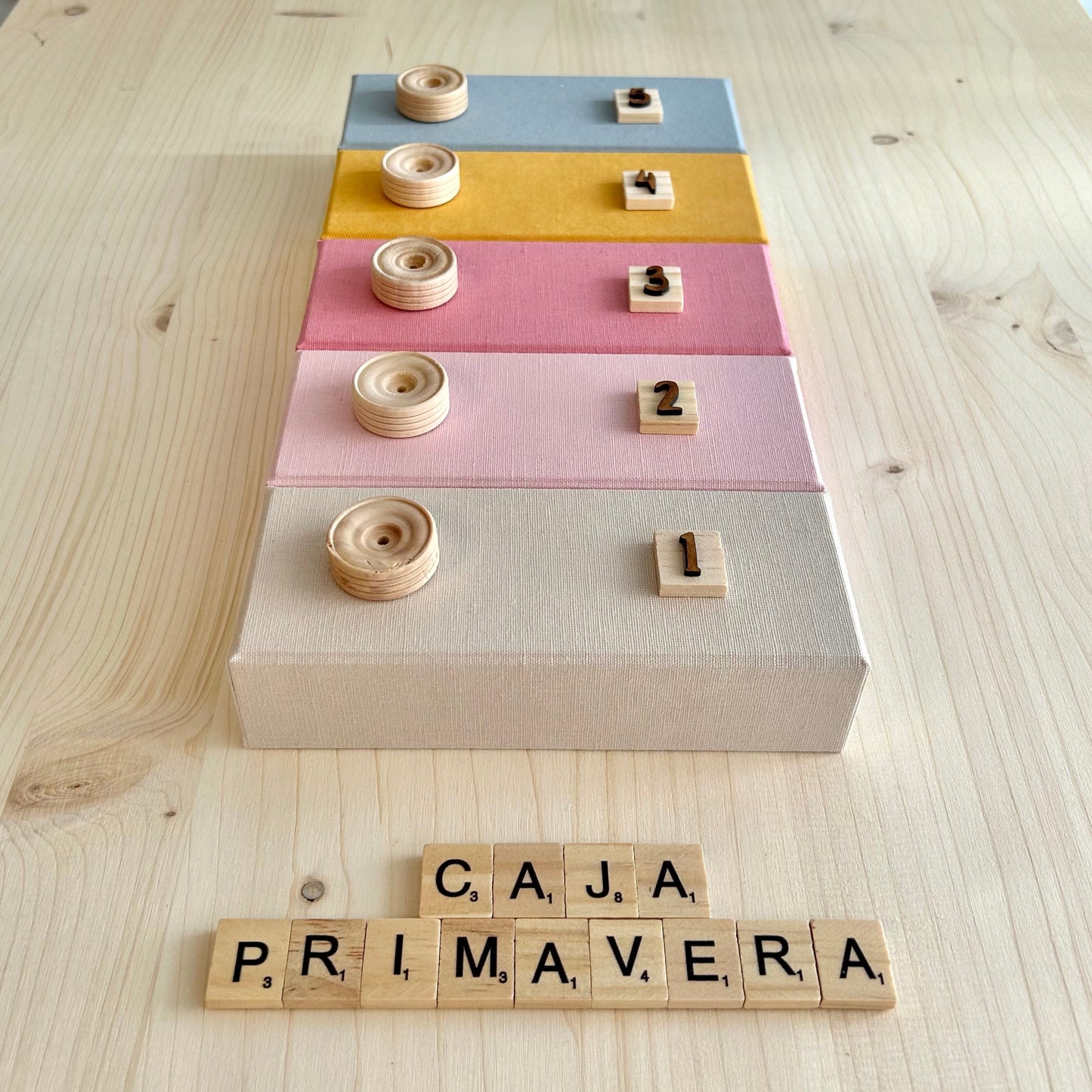 CAJA CÁMARA PRIMAVERA