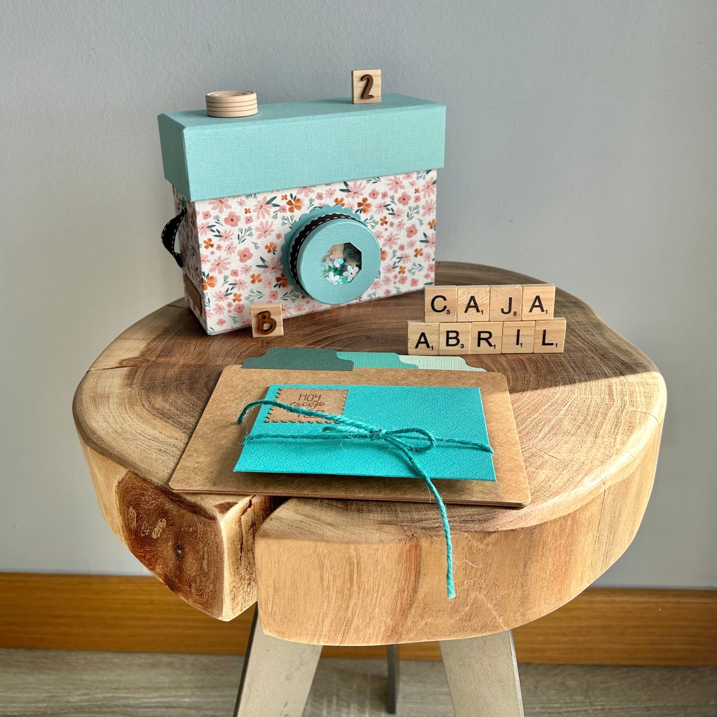CAJA CÁMARA ABRIL