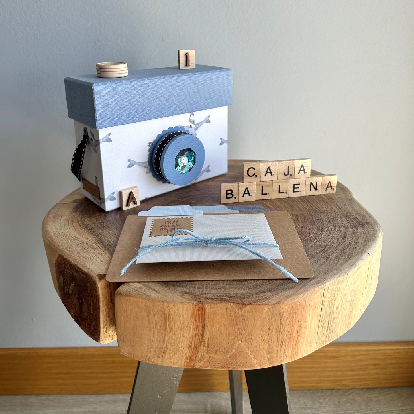 CAJA CÁMARA BALLENA