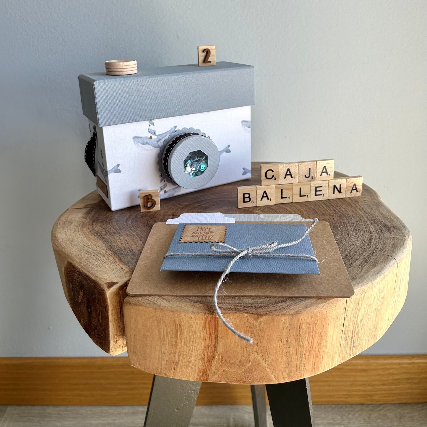CAJA CÁMARA BALLENA