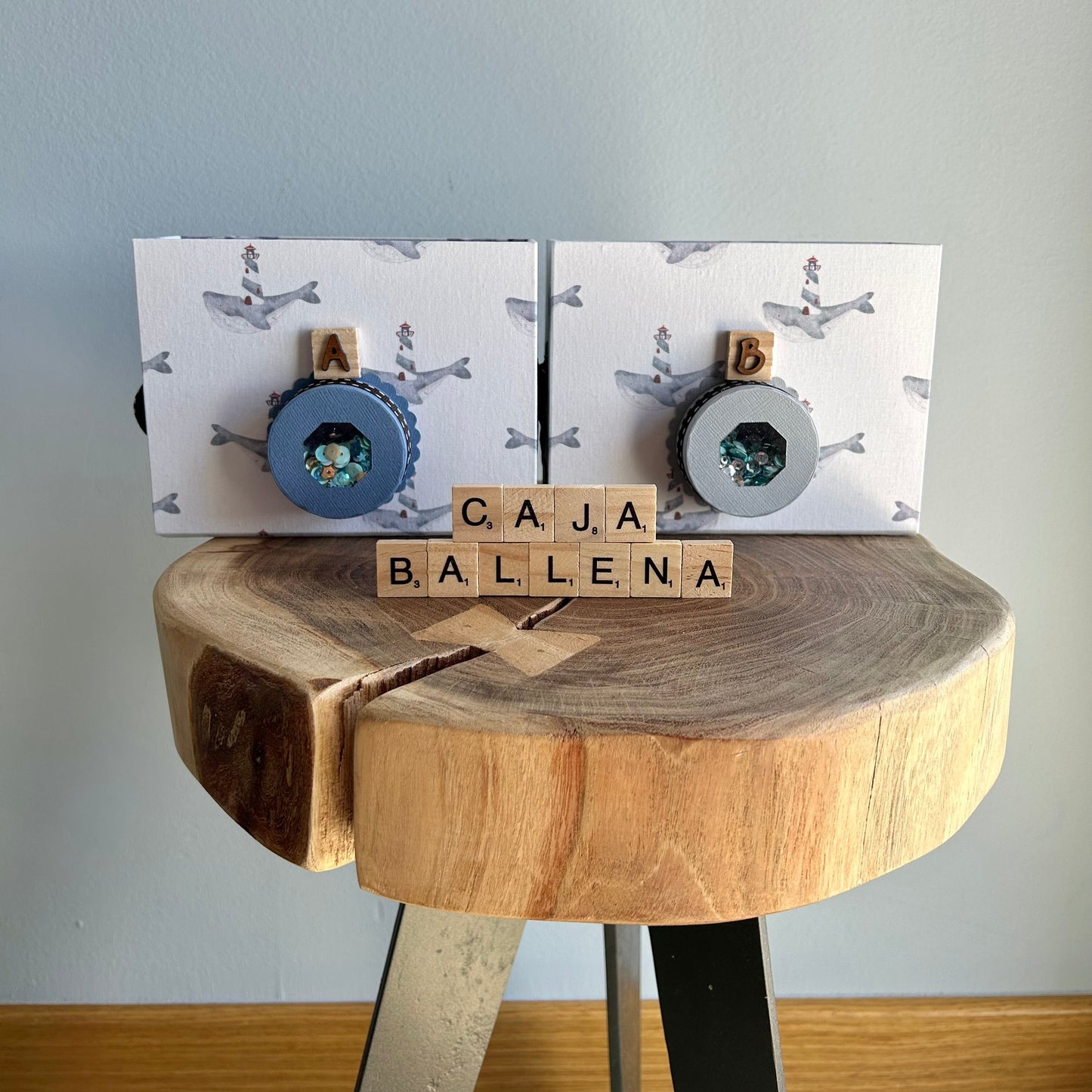 CAJA CÁMARA BALLENA