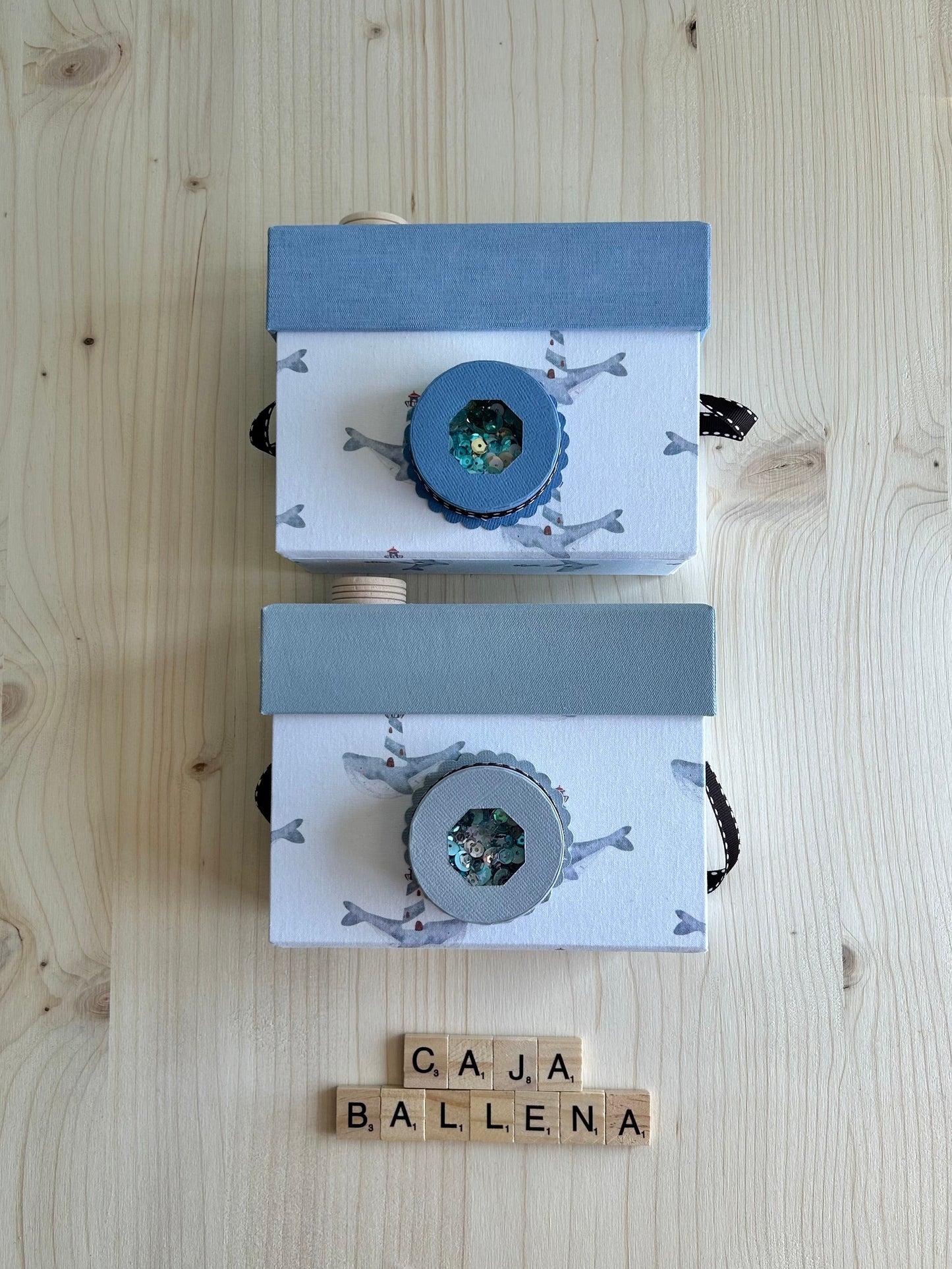 CAJA CÁMARA BALLENA