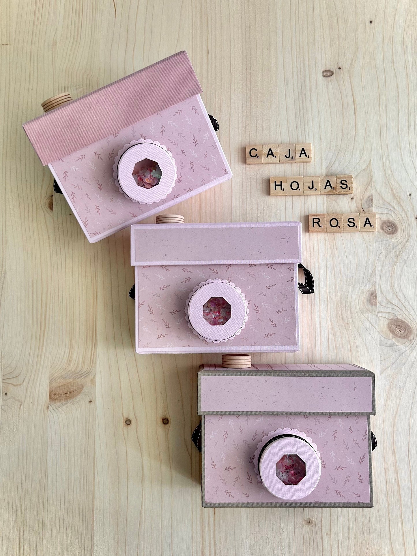 CAJA CÁMARA HOJAS ROSAS